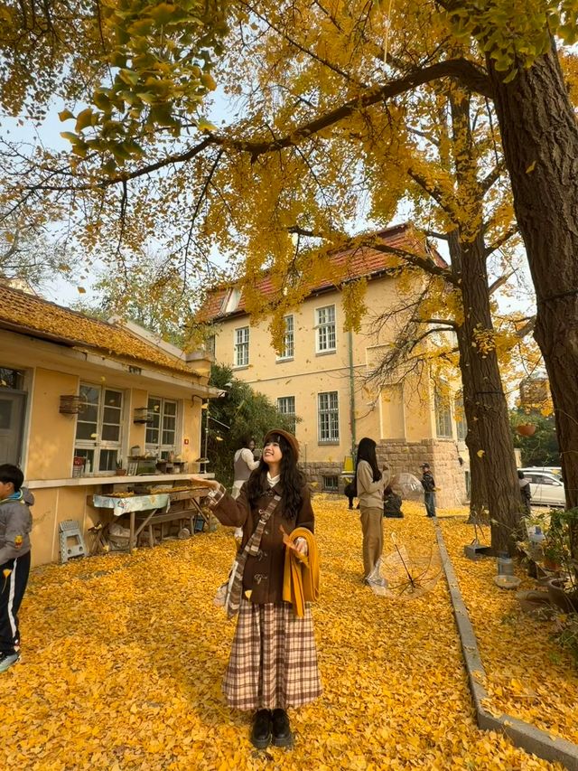 Live實況來青島拍到了18張人生照片！！