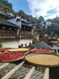 醉美篁嶺曬秋攻略