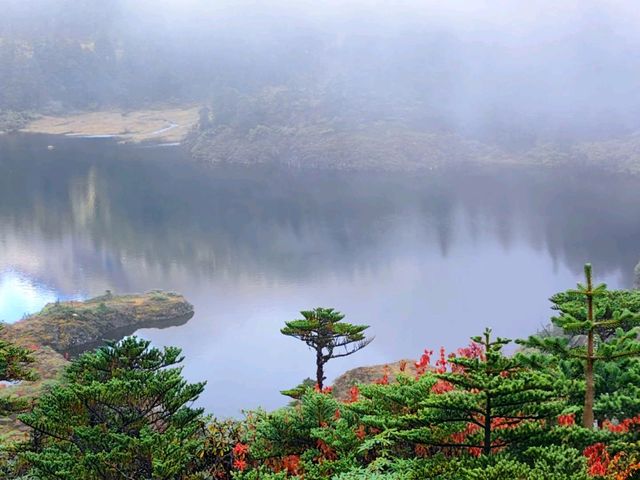 全網瘋傳的南極洛攻略！這裡美到讓所有網紅地標瞬間失色！