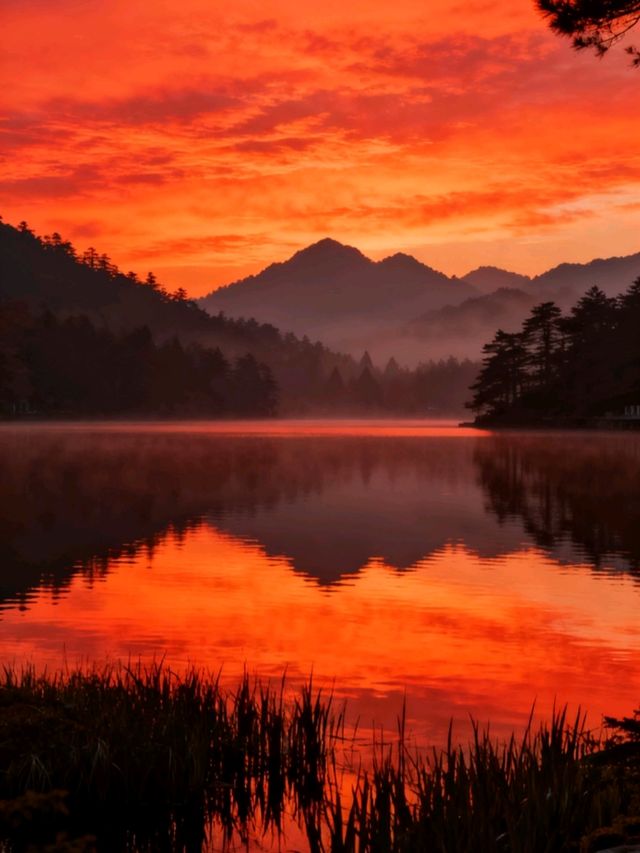 江西廬山：瀑布從雲端跌落山谷，雲霧漫過石階時，一步一景