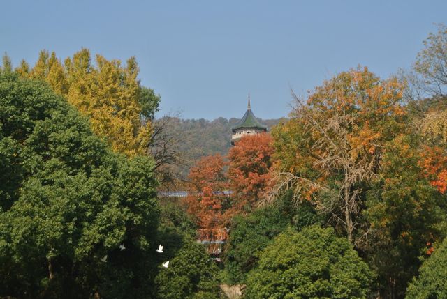 高效打卡經典路線，親測不踩雷！