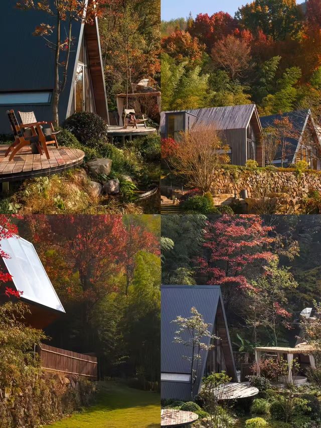 安吉冬日寶藏民宿!雪天暖湯圍爐太治癒 安吉冬日寶藏民宿!雪天暖湯圍爐太治癒