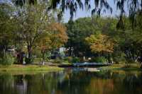 解鎖金陵秋日限定浪漫