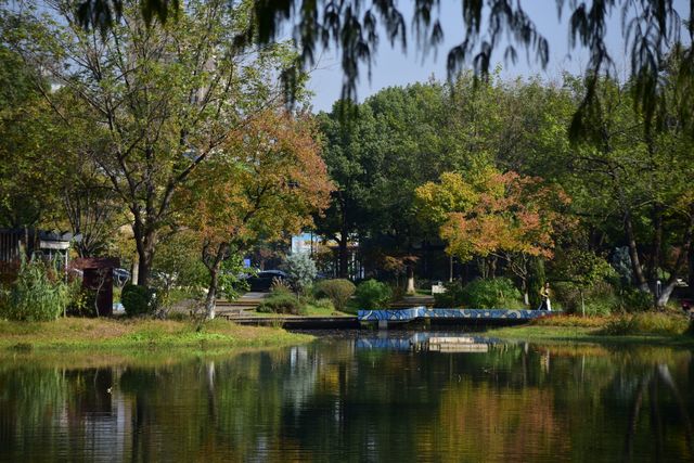 解鎖金陵秋日限定浪漫