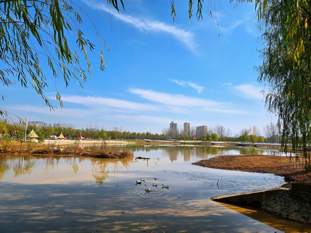 “塞納河”畔曬太陽 “塞納河”畔曬太陽