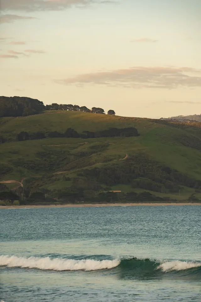 從墨爾本出發2小時🫏牛馬本人體驗退休生活