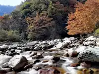 2025年11月16日廣元唐家河