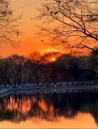 瀋陽冬日限定！北陵日落把皇家園林染成暖金