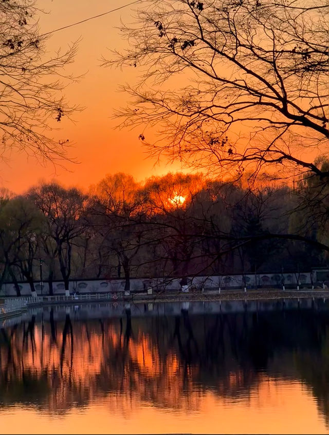 瀋陽冬日限定！北陵日落把皇家園林染成暖金