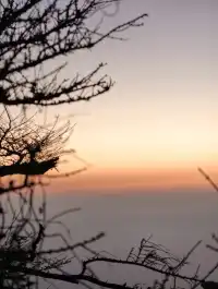 夜爬泰山6小時 · 星空日出雙buff 肌肉不酸