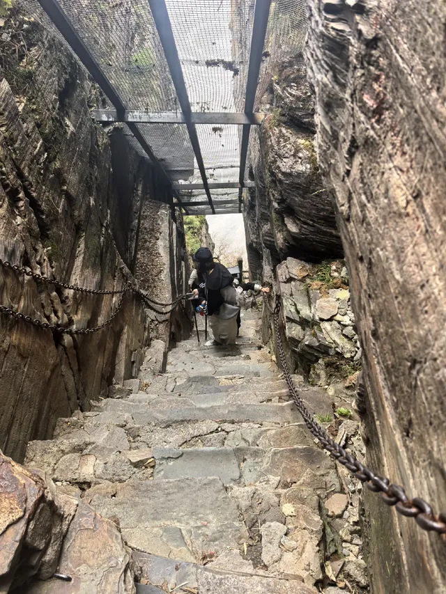 登頂梵淨山坐了最暈車的景交車