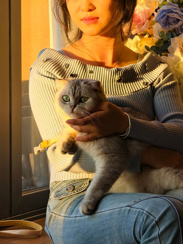 平潭這家海景民宿也太治癒了！面朝大海撸貓太幸福