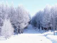 北京周邊藏了個冰雪王國?它叫樺皮嶺!!