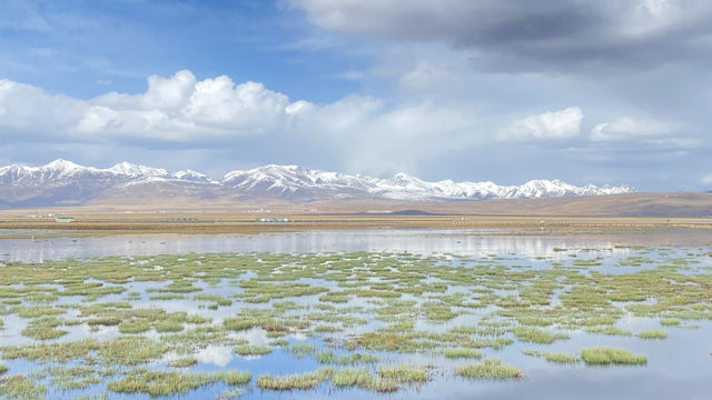 8日暢遊臨夏等地 超詳細攻略來襲 8日暢遊臨夏等地 超詳細攻略來襲