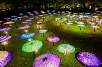 東京賞秋必看—昭和紀念公園銀杏燈光秀攻略