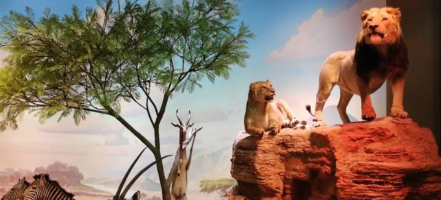 江西5日遊攻略｜南昌進→德安→景德鎮→婺源→望仙谷→南昌