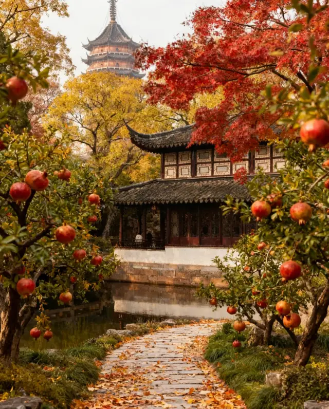 Suzhou Autumn Citywalk Route!