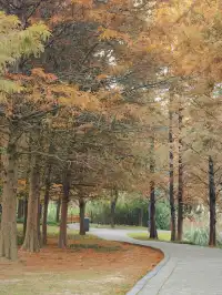 貴陽初冬·唯一想去無數次的公園