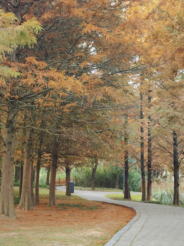 貴陽初冬·唯一想去無數次的公園