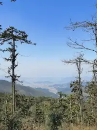 登頂東崗山,邂逅雲海、風車與滿目青翠。