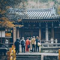 古寺打卡絕美機位