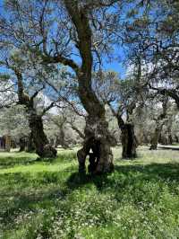 拿日雍措，水天一色的神秘聖湖
