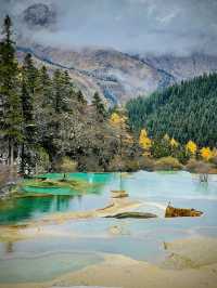 天上瑤池,人間黃龍