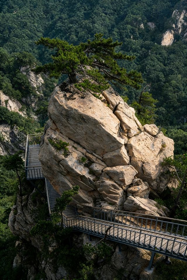 堯山遊玩全攻略:帶上好心情,遇見雲海與奇峰 堯山遊玩全攻略:帶上好心情,遇見雲海與奇峰