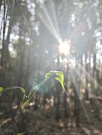 溧陽天目湖3日遊：天目湖山水