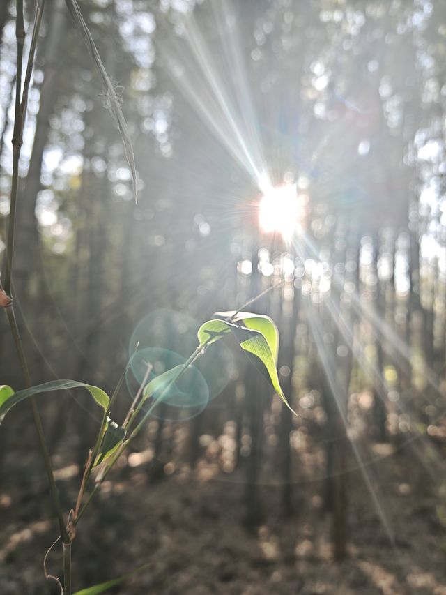溧陽天目湖3日遊：天目湖山水