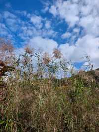 普洱山野漫步這片秘境藏滿了治癒系風景