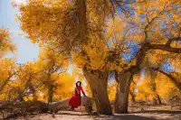 誰懂啊！西北才是年輕人的精神出逃地