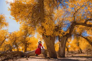 Who understands! The Northwest is the true spiritual escape for young people