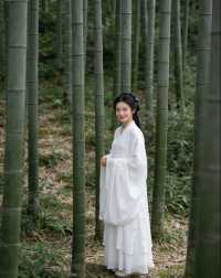 佛坪保姆級攻略帶你遊玩絕美景點