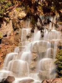 秋日魔都光影秘境