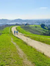 洛杉磯隱藏版城市青丘Ascot Hills Park