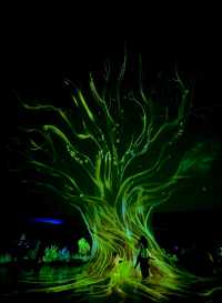 躲進城市雨林秘境