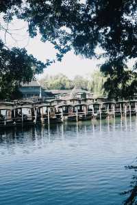 烏鎮|下江南必碼懶人攻略!難度遊玩路線分享