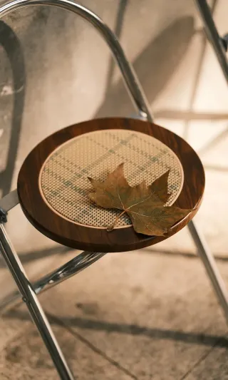 11.29 Live broadcast, this is the autumn atmosphere of Shanghai