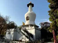 週末打卡一座城之揚州day2