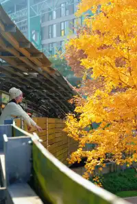 世博公園一年100次都不嫌膩（附路線