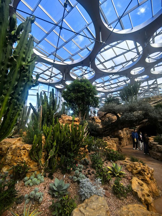 魔都打卡日記世博溫室花園+3號倉庫美食探店 魔都打卡日記世博溫室花園+3號倉庫美食探店