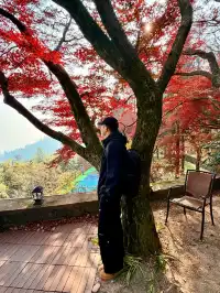 莫干山紅色氛圍已拉滿，趕緊衝！！