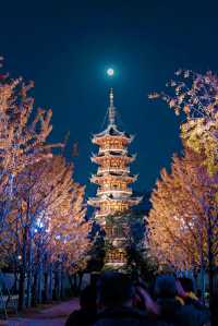 龍華古鎮賞秋攻略