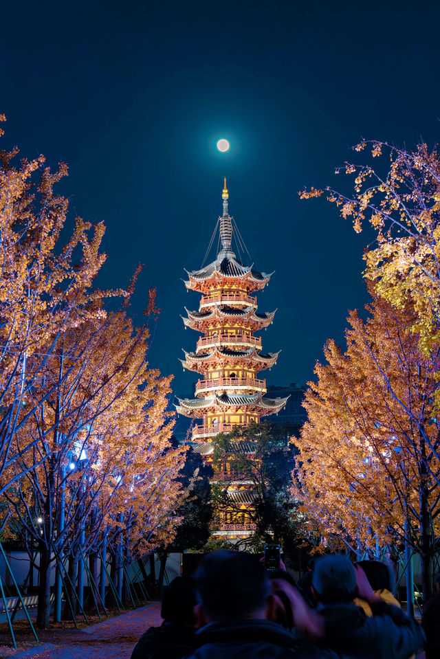 龍華古鎮賞秋攻略 龍華古鎮賞秋攻略