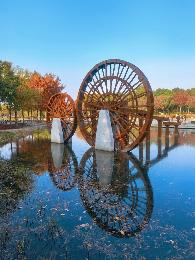 沔青園記 | 一脈水鄉印古今