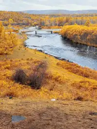 北京自駕阿爾山追秋