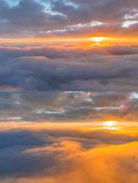 剛從哀牢山回來!看這篇就夠了