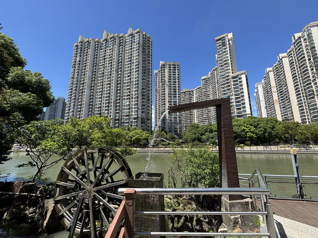 無懼秋老虎,打卡「千樹」之城,歷史的變遷,不定期更新 無懼秋老虎,打卡「千樹」之城,歷史的變遷,不定期更新