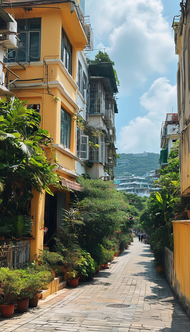 福建寶藏之旅 | 山海之間的夢幻之行 寶子們,福建這個地方簡直就是旅遊界的“六邊形戰士”!有海有山 福建寶藏之旅 | 山海之間的夢幻之行 寶子們,福建這個地方簡直就是旅遊界的“六邊形戰士”!有海有山